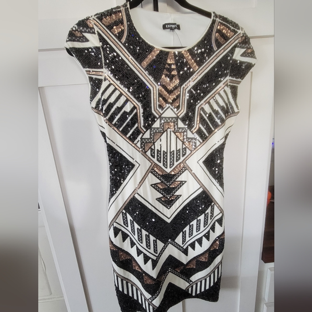 Express Sequin Dress